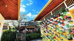 Tour Cafe 10